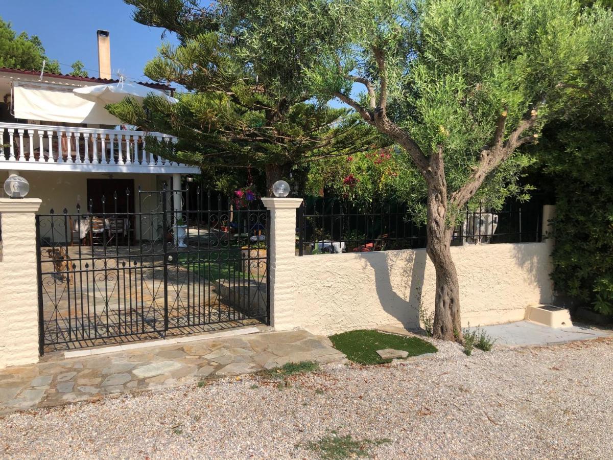 Your Holiday House Pórto Ráfti المظهر الخارجي الصورة